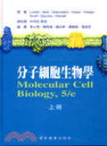 分子細胞生物學
